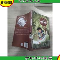 汤素兰幻想精灵系列:时间之箭