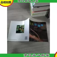 .昆虫躲猫猫