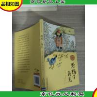 俄罗斯经典文学书系 野鸭子再见