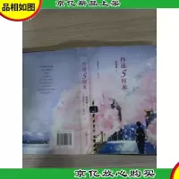 秒速5厘米(典藏版)