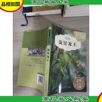 流星龙王(全新升级珍藏版)/动物小说大王沈石溪精读系列