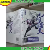 《九阳踏天2》