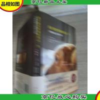 我只能短暂地陪你过一生:与狗狗莫儿相伴13年