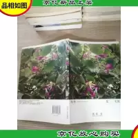 年华是无效信