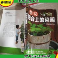 图说阳台上的菜园