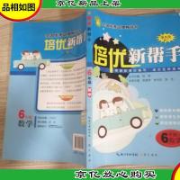 培优新帮手:小学数学6年级