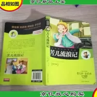 名家*世界名著:苦儿流浪记