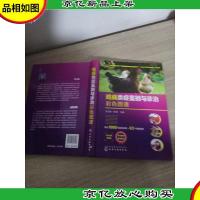 鸡病类症鉴别与诊治彩色图谱(全彩图解+视频指导)