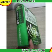 *用种子植物汉拉日俄英名称