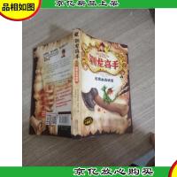 驯龙高手3:逃离幽森城堡