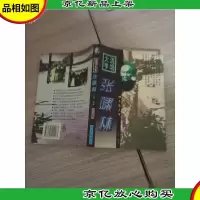 流氓大亨张啸林 下册
