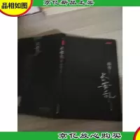 长安乱