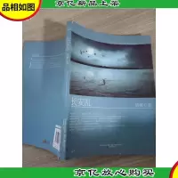 长安乱