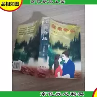 宝鼎奇缘:现代爱情长篇小说