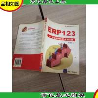 ERP123:企业应用ERP成功之路