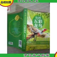 沈石溪感悟生命动物小说集 五彩龙鸟