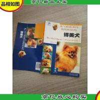 秀气精致乖巧貌似松鼠的博美犬