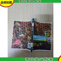 蜜蜂王国探奇[馆藏][正书口有印章]