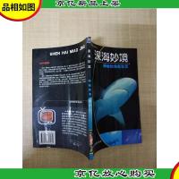 深海妙境 神秘的海底生灵