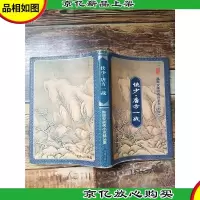 侠少·唐方一战 温瑞安神州奇侠系列 别传[书脊受损][封面受损