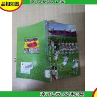 足球梦寻 中国足球世界杯之路[馆藏][正书口有印章]
