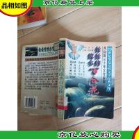 长长的流水百合花 (馆藏)