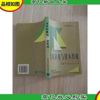 资本积累与资本形成:储蓄投资经济分析[书脊受损]