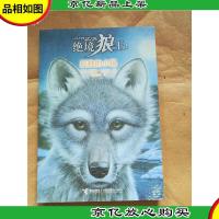 绝境狼王系列. 1 孤独的小狼