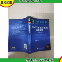 中国广播电影电视发展报告(2013)