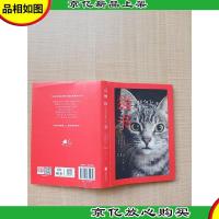 猫书 如何轻松拥猫入怀[精装][内有笔迹]