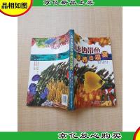 海水热带鱼喂养与观赏