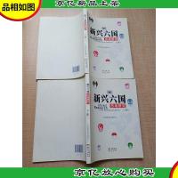 新兴六国市场研究[上,下两本合售]