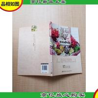 邂逅文艺的多肉植物志