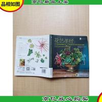 花艺圣经:100种花艺装饰的方法,让你的家在任何季节都生机勃勃