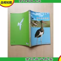 洛阳鸟类图册