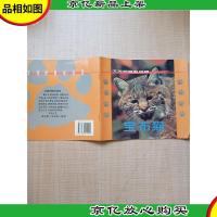 北美洲猫科动物 宝布猫