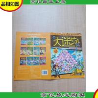 《大迷宫系列丛书:反恐行动系列 沙漠篇》