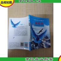 彩虹鸽 吉林摄影出版社