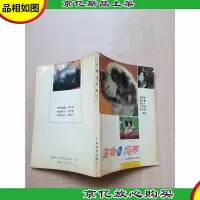 宠物的饲养