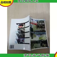 飘飘三色旗:*法军:雄风难再的高卢公鸡