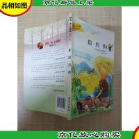 迪克 金 史密斯动物小说 隐形狗