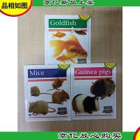 体验英语少儿阅读文库 适合12-14岁学生[3本合售 详情见简介]