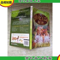 多伦王国的秘密(5:怪物的高塔·寻找王后)