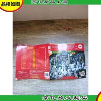 幼儿生活主题整合课程(1A小班)生活主题书 大石头小石头 (国际