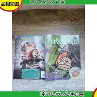 发现号·自然探秘10 帝王蝶