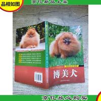 博美犬 灵动的艺术品