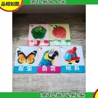 青苹果早教启蒙 昆虫+鸟类+玩具+水果+蔬菜[5本合售]