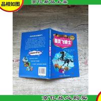 贝贝熊系列丛书 侦探故事 幽灵飞骑士