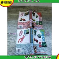 中国*用水果+中国*用蔬菜[两本合售][书脊受损]