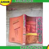火焰中的翡翠[书脊贴纸]